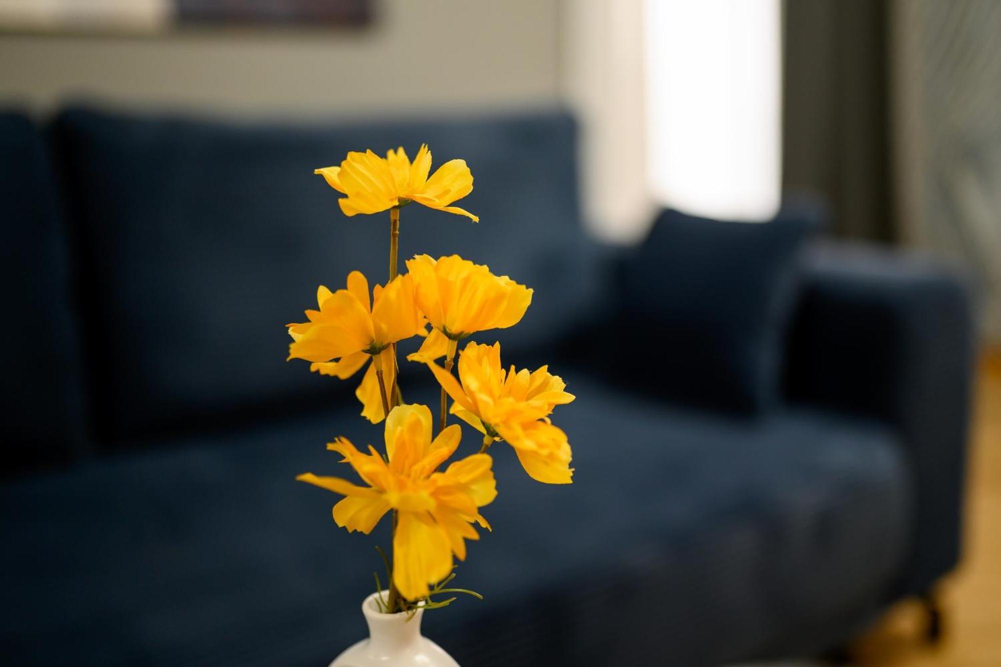 Cultural Gems- Modern 1br Near Museums Bucureşti